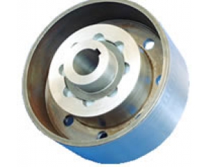 ZLL型-帶制動(dòng)輪彈性柱銷(xiāo)齒式聯(lián)軸器
